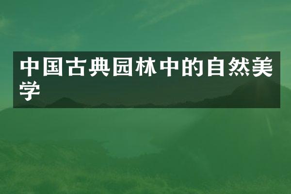 中国古典园林中的自然美学