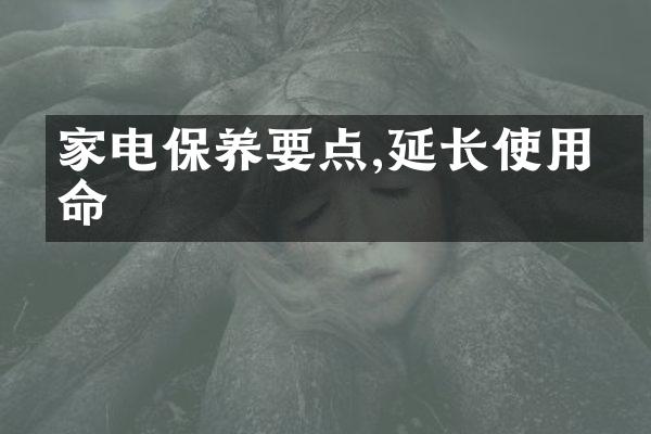家电保养要点,延长使用寿命