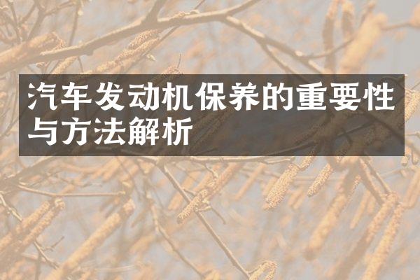 汽车发动机保养的重要性与方法解析