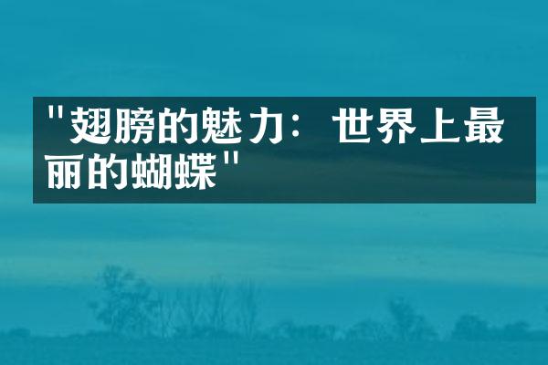 "翅膀的魅力：世界上最美丽的蝴蝶"