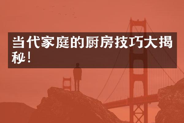 当代家庭的厨房技巧大揭秘！