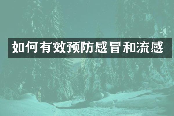 如何有效预防感冒和流感