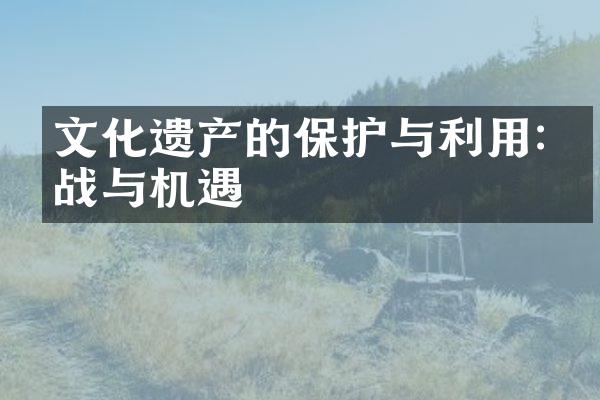 文化遗产的保护与利用:挑战与机遇