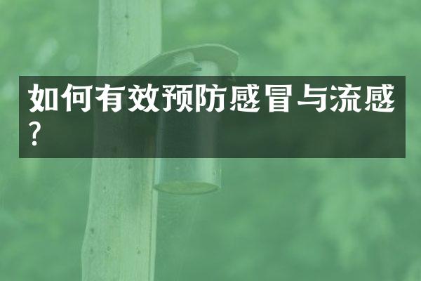 如何有效预防感冒与流感？