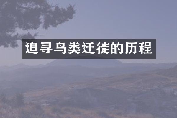 追寻鸟类迁徙的历程