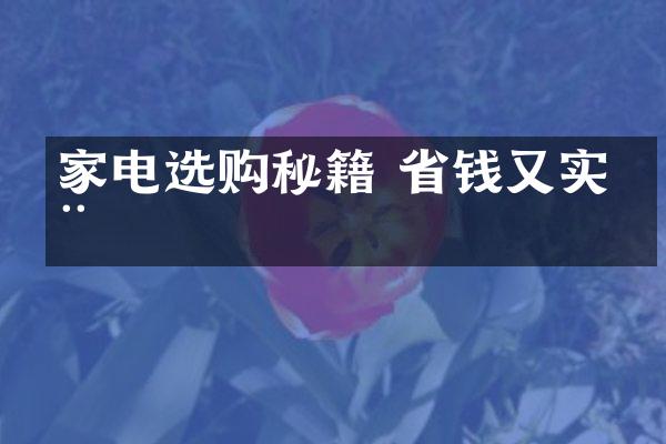 家电选购秘籍 省钱又实用