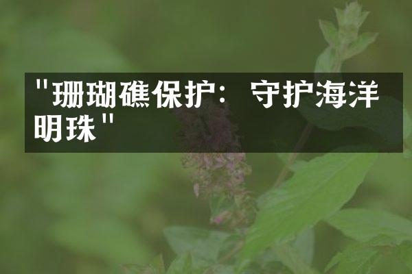 "珊瑚礁保护：守护海洋的明珠"