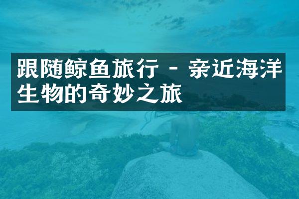 跟随鲸鱼旅行 - 亲近海洋生物的奇妙之旅