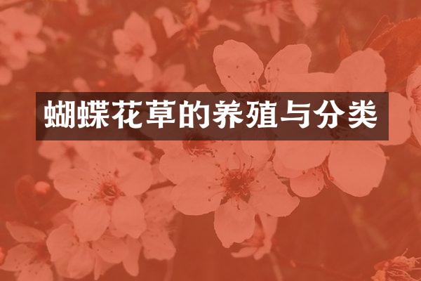 蝴蝶花草的养殖与分类