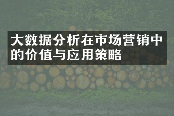 大数据分析在市场营销中的价值与应用策略
