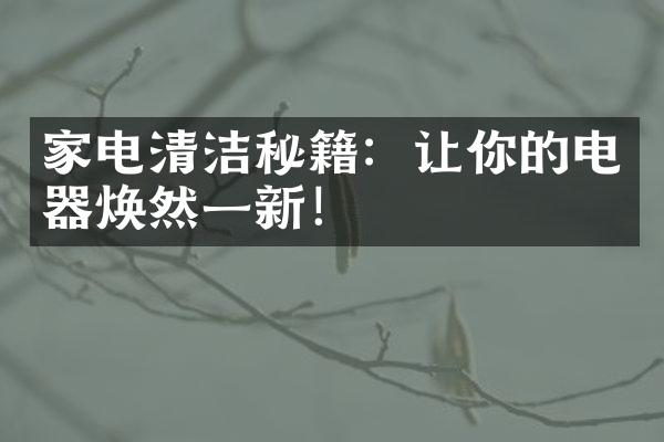 家电清洁秘籍：让你的电器焕然一新！