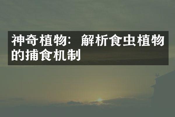 神奇植物：解析食虫植物的捕食机制