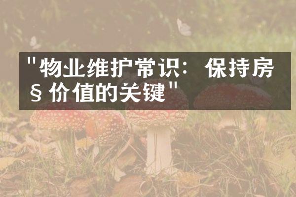 "物业维护常识：保持房产价值的关键"