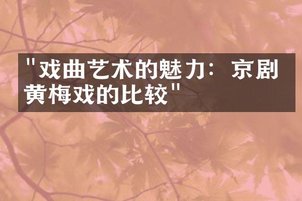 "戏曲艺术的魅力：京剧与黄梅戏的比较"
