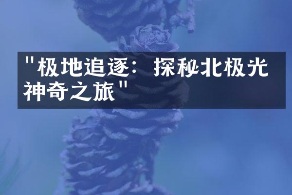 "极地追逐：探秘北极光的神奇之旅"