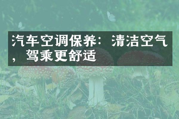 汽车空调保养：清洁空气，驾乘更舒适