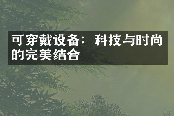 可穿戴设备：科技与时尚的完美结合