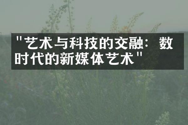 "艺术与科技的交融：数字时代的新媒体艺术"
