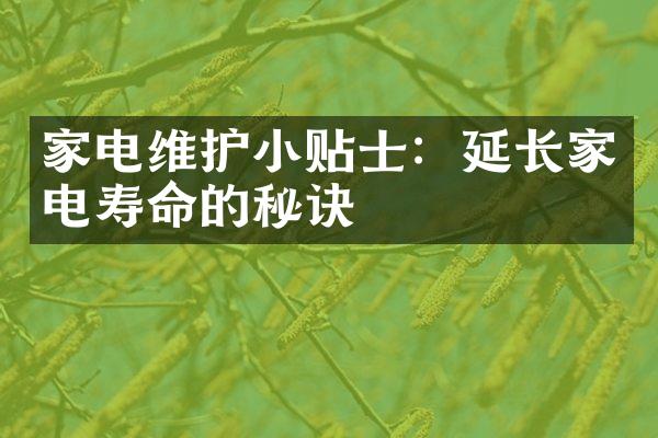 家电维护小贴士：延长家电寿命的秘诀