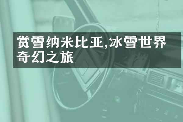 赏雪纳米比亚,冰雪世界的奇幻之旅