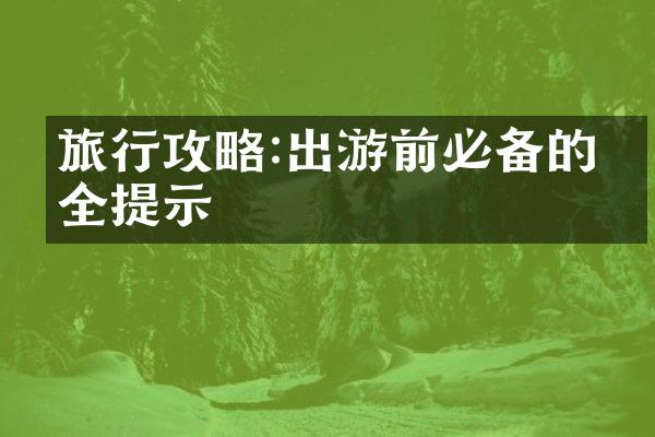 旅行攻略:出游前必备的安全提示
