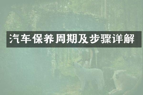 汽车保养周期及步骤详解