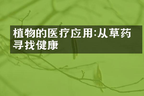 植物的医疗应用:从草药中寻找健康