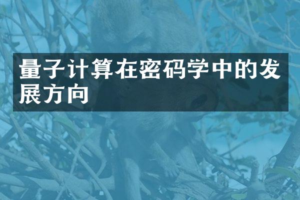 量子计算在密码学中的发展方向