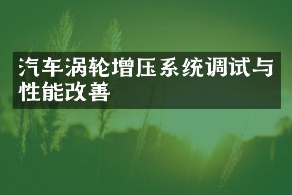 汽车涡轮增压系统调试与性能改善