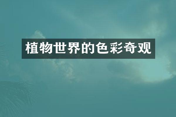 植物世界的色彩奇观