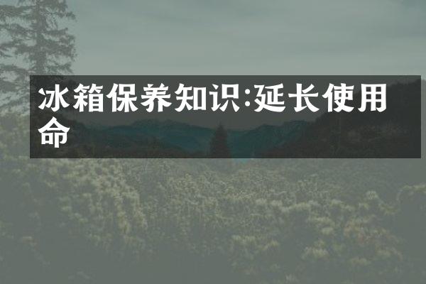 冰箱保养知识:延长使用寿命