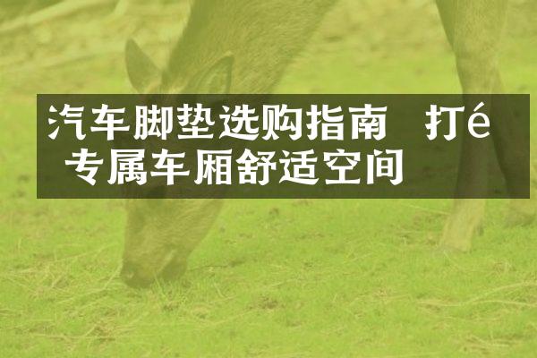 汽车脚垫选购指南 – 打造专属车厢舒适空间