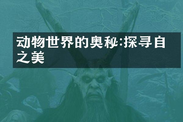动物世界的奥秘:探寻自然之美