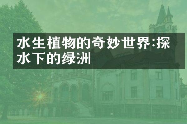 水生植物的奇妙世界:探索水下的绿洲