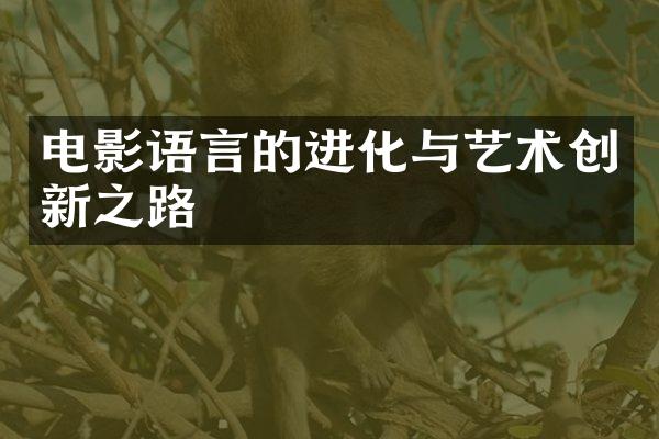 电影语言的进化与艺术创新之路