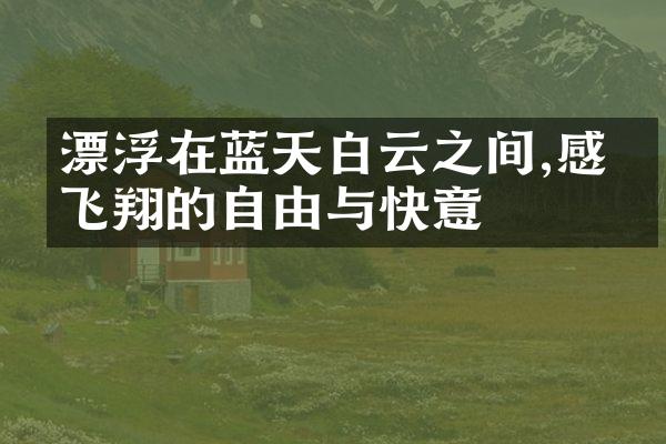 漂浮在蓝天白云之间,感受飞翔的自由与快意