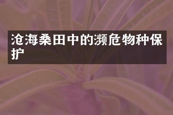沧海桑田中的濒危物种保护