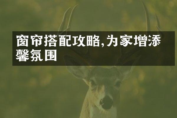 窗帘搭配攻略,为家增添温馨氛围
