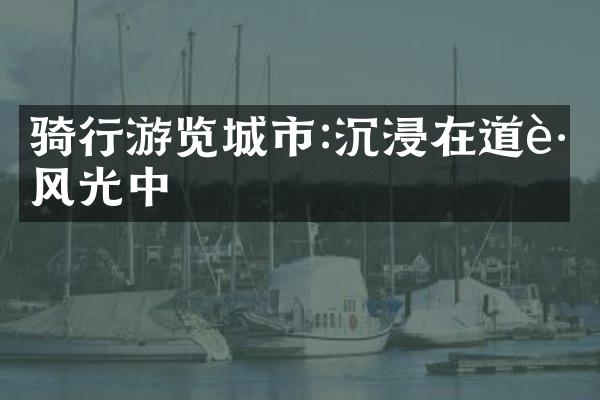 骑行游览城市:沉浸在道路风光中