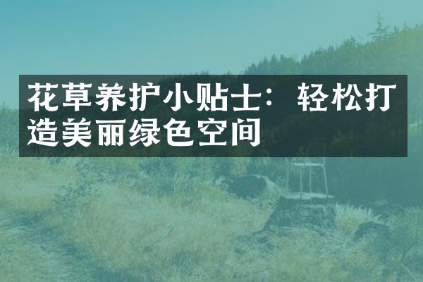 花草养护小贴士：轻松打造美丽绿色空间