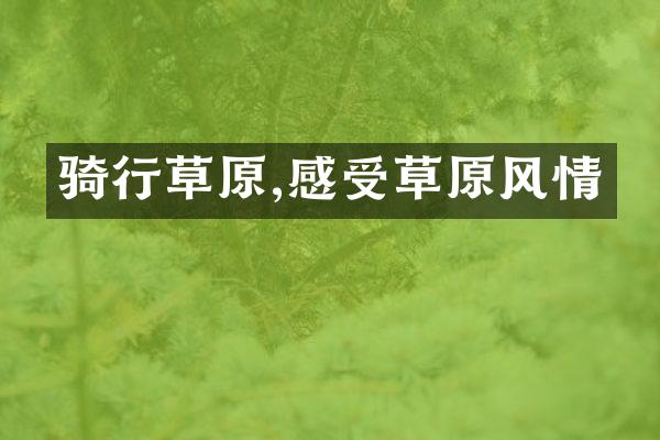 骑行草原,感受草原风情