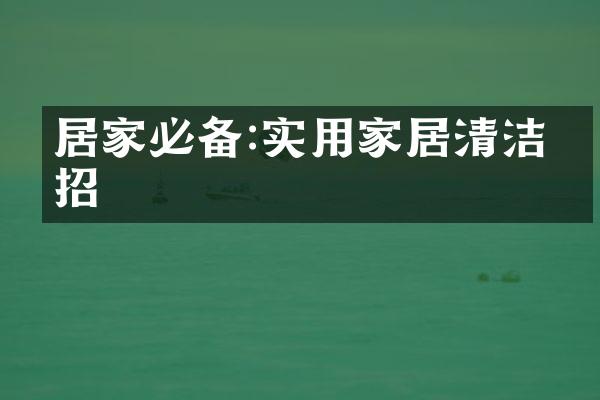 居家必备:实用家居清洁妙招