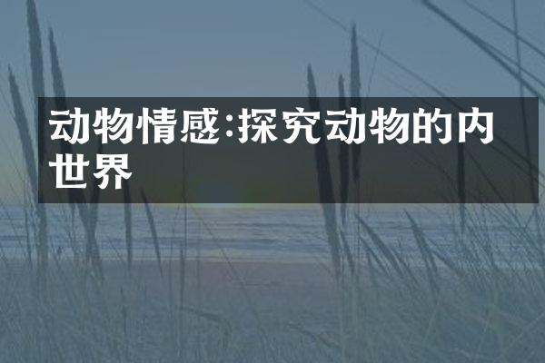 动物情感:探究动物的内心世界