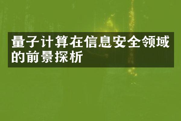 量子计算在信息安全领域的前景探析