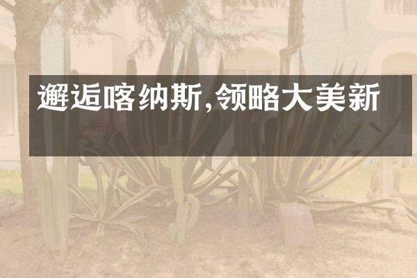 邂逅喀纳斯,领略大美新疆