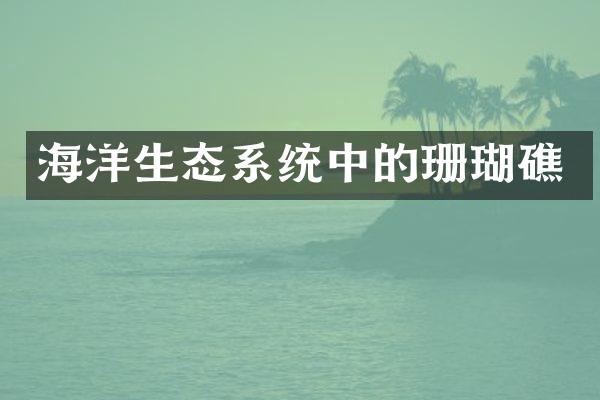 海洋生态系统中的珊瑚礁