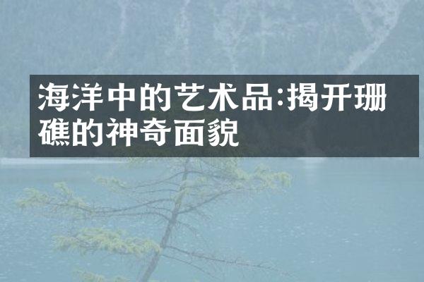 海洋中的艺术品:揭开珊瑚礁的神奇面貌