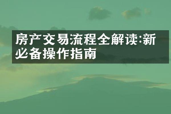 房产交易流程全解读:新手必备操作指南