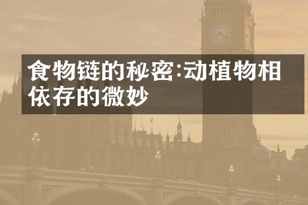 食物链的秘密:动植物相互依存的微妙