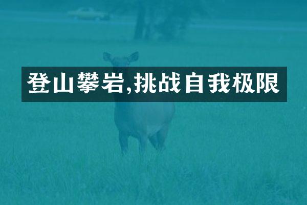 登山攀岩,挑战自我极限